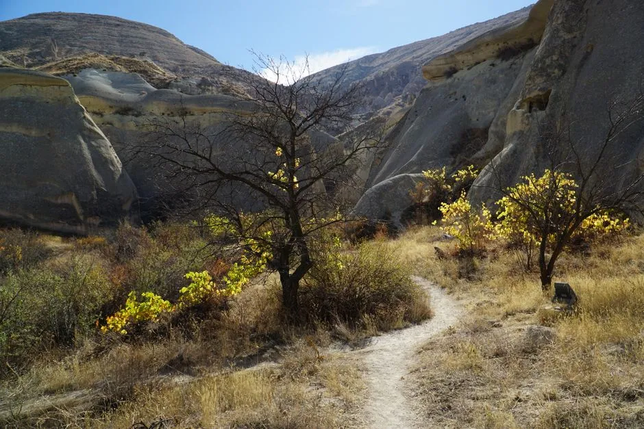 Göreme açık hava müzesi