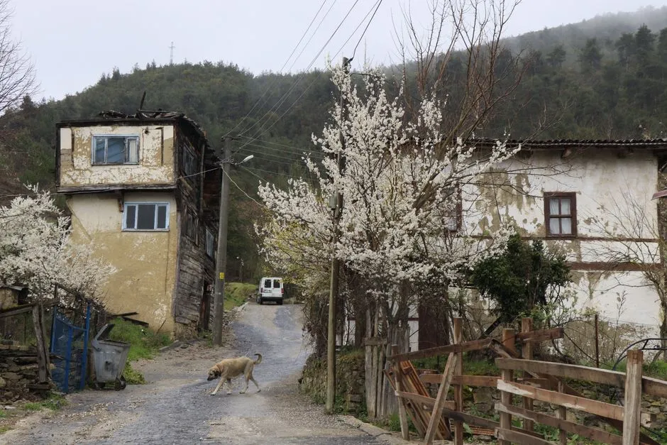 Safranbolu gezi rehberi