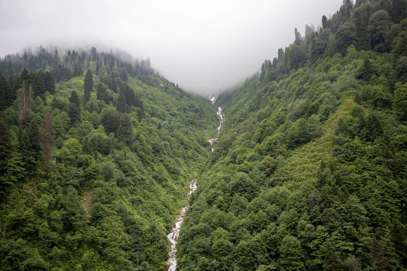 Karadeniz Turu Rotası: En İyi Gezilecek Yerler, Ulaşım ve Konaklama Rehberi