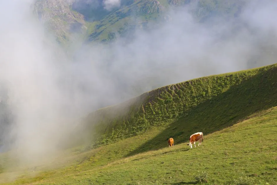 Uzungöl Gezi Rehberi: Gezilecek Yerler, Ulaşım ve Pratik İpuçları